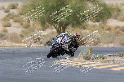 media/May-14-2023-SoCal Trackdays (Sun) [[024eb53b40]]/Turn 5 Tree of Life (1125am)/